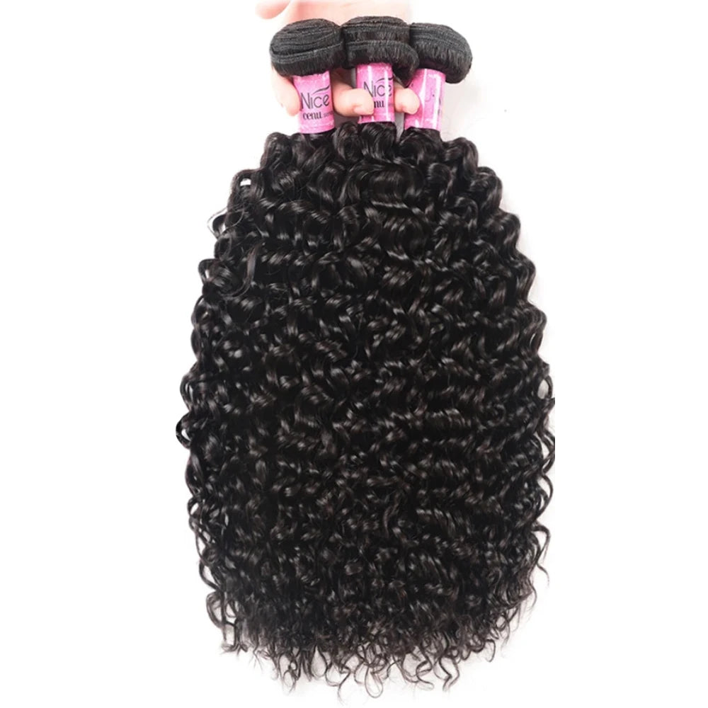 UNice Hair Curly Hair Bundles With 4x4 Closure Natural Color 2/3/4 PCS Human Hair Bundles And Closure Can Make 250% Density Wigs