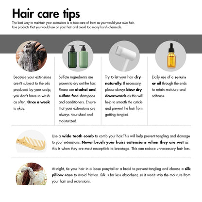 Body Wave Bundles With Closure Malaysia Virgin Human Hair Bundles With 5x5 6x6 HD Transparent Lace Closure Free Part Black Color