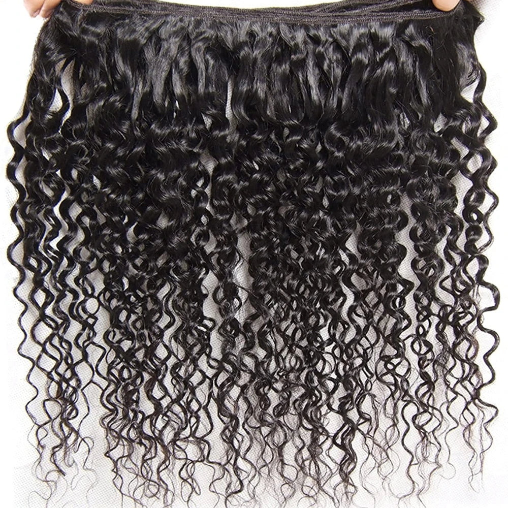 UNice Hair Curly Hair Bundles With 4x4 Closure Natural Color 2/3/4 PCS Human Hair Bundles And Closure Can Make 250% Density Wigs